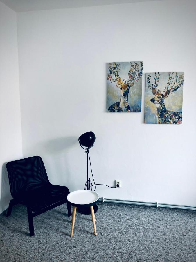 Apartman Krystof Františkovy Lázně Dış mekan fotoğraf